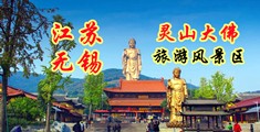 嫩草无码视频在线观看江苏无锡灵山大佛旅游风景区
