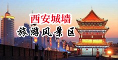 91在线自拍中国陕西-西安城墙旅游风景区